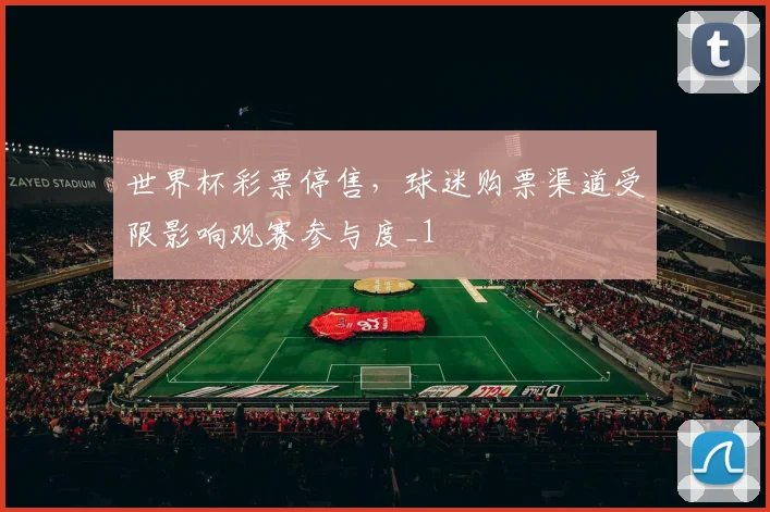 世界杯彩票停售，球迷购票渠道受限影响观赛参与度_1