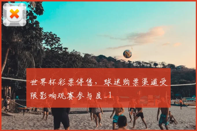 世界杯彩票停售，球迷购票渠道受限影响观赛参与度_1